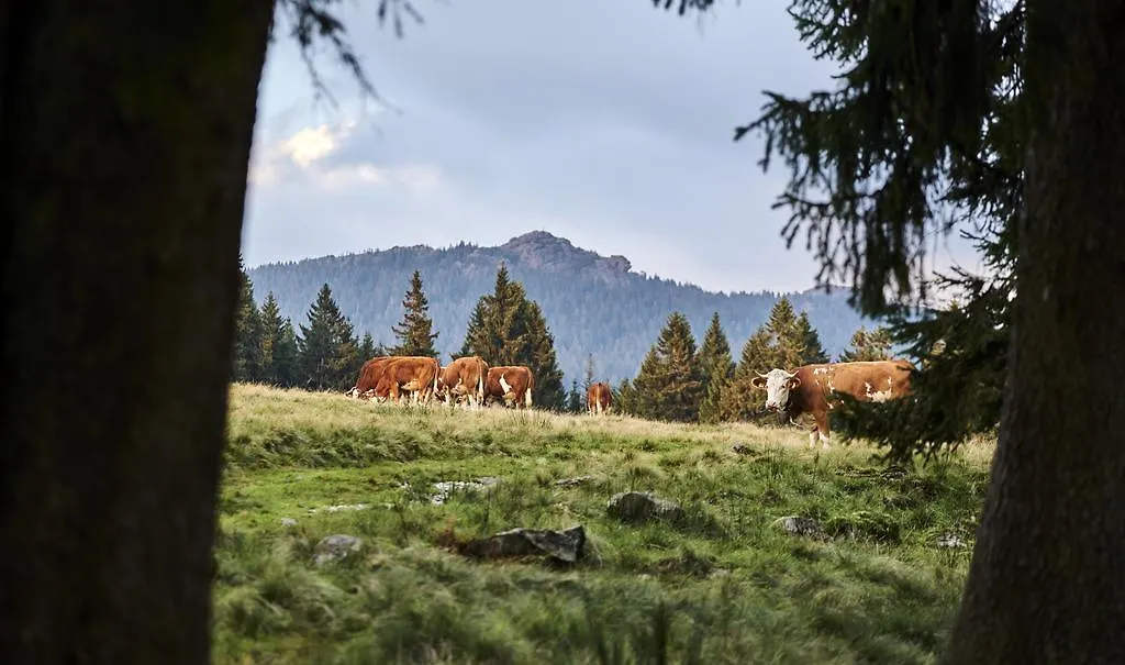 Rehwinkel Hotel Bodenmais 3*,  Germany